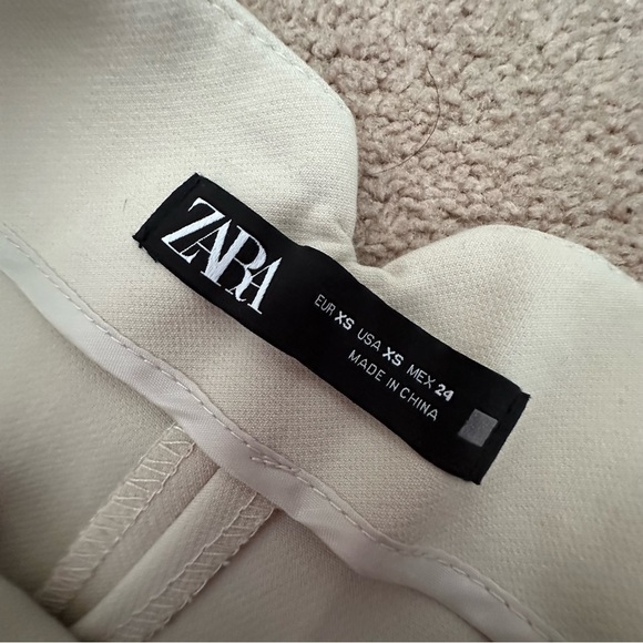 Zara Pleated Pants - Picture 3 of 3